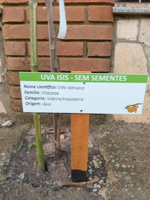 Galeria Estância Preguiça